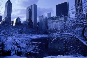 Snow in Central Park